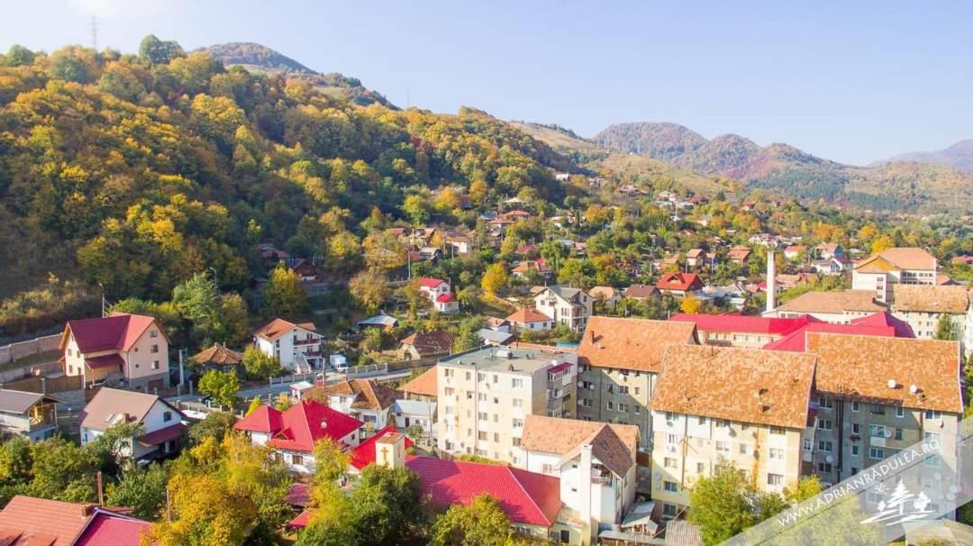 Cazare Apartament Cu 2 Camere Nehoiu Eksteriør billede
